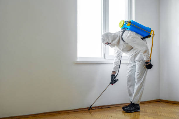 Best Residential Pest Control  in Ville Ptte, LA